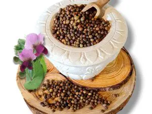roveja slowfood produzione propria di norcia