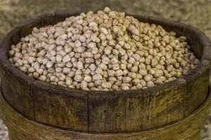 Cieci giganti sfusi