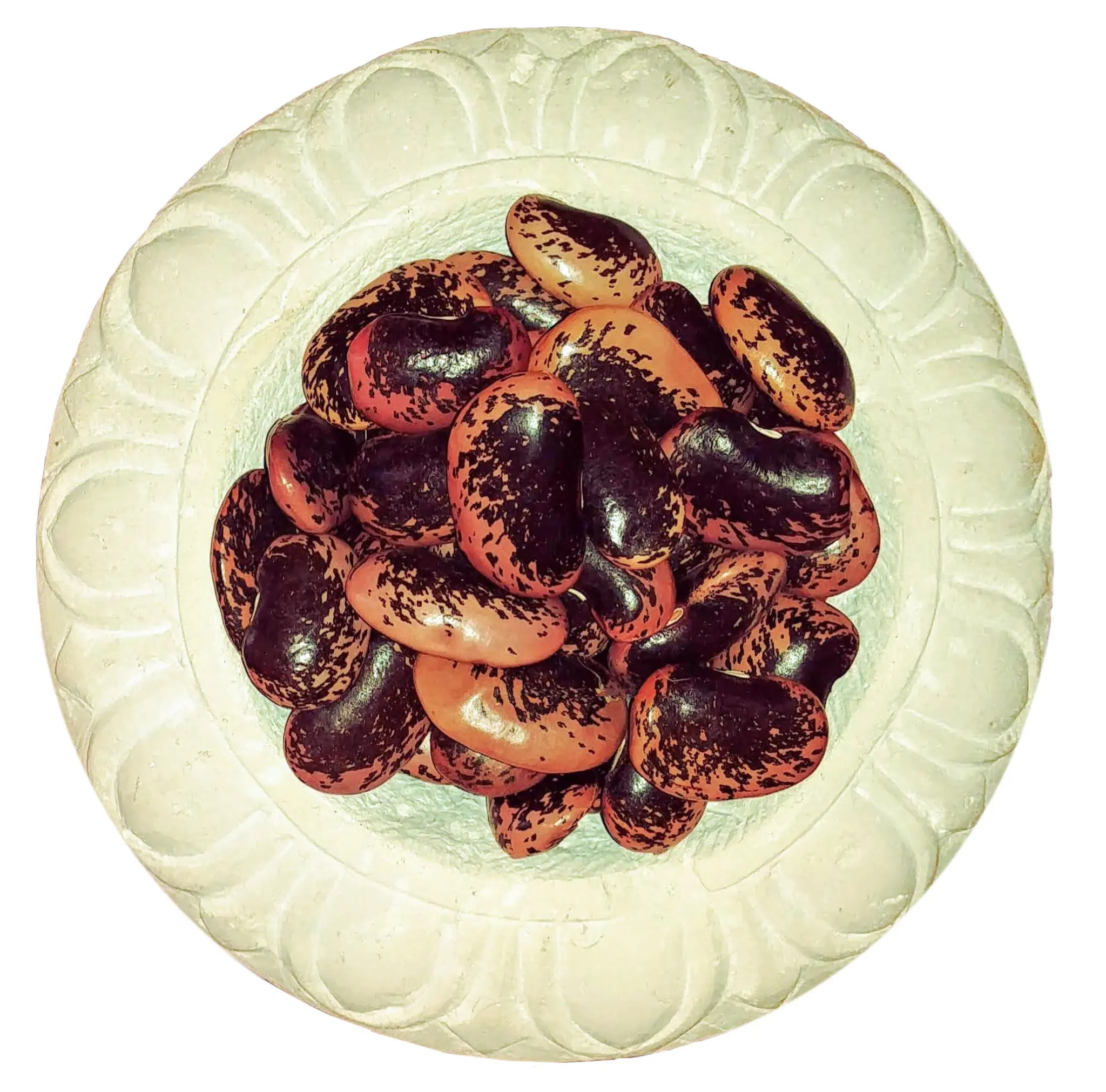 piatto di fagioli diavoli