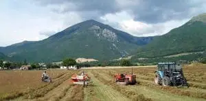 Agricoltura e produzione prodotti a Km zero 0
