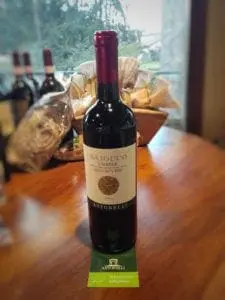 Vino biologico rosso dell'umbria
