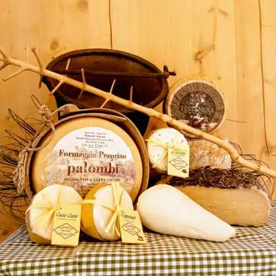 Formaggi e ricotta