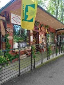 Dove Siamo