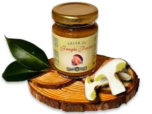 Salsa di funghi porcini
