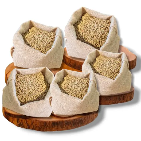 Confezione famiglia lenticchie