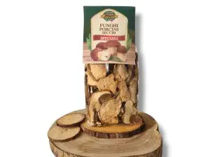 funghi porcini secchi selezionati 100g