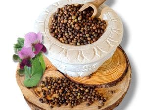 roveja slowfood produzione propria di norcia