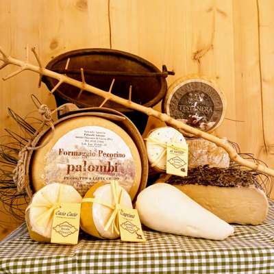 Formaggi e ricotta