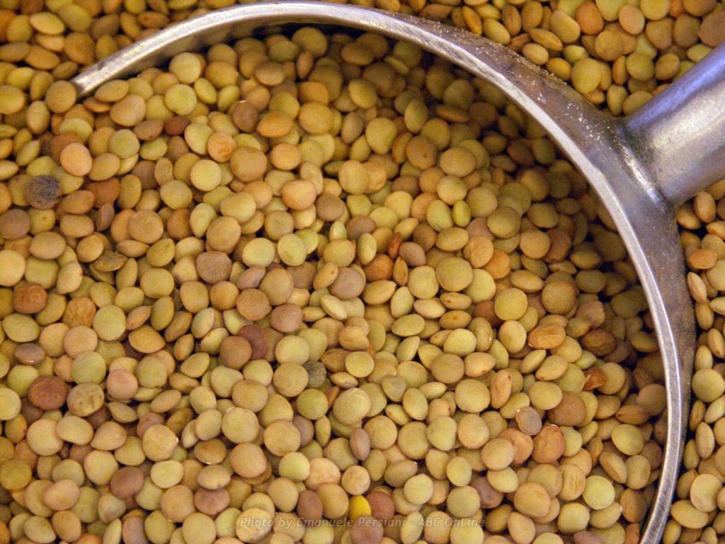 lenticchia di Norcia sfusa
